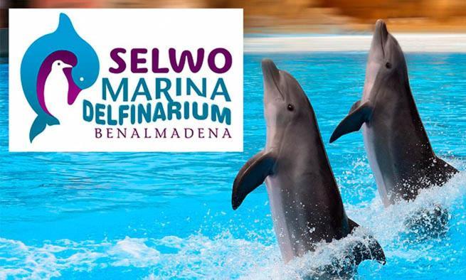 TREBOL Apartamentos Benalmádena Arroyo De La Miel Bagian luar foto